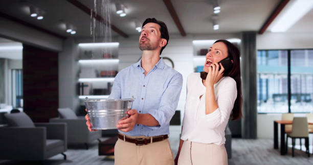 Best 24-hour water damage restoration  in USA